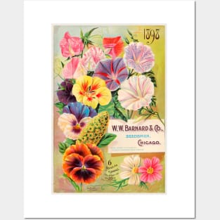 W. W. Barnard & Co. Seed Catalogue (1898) Posters and Art